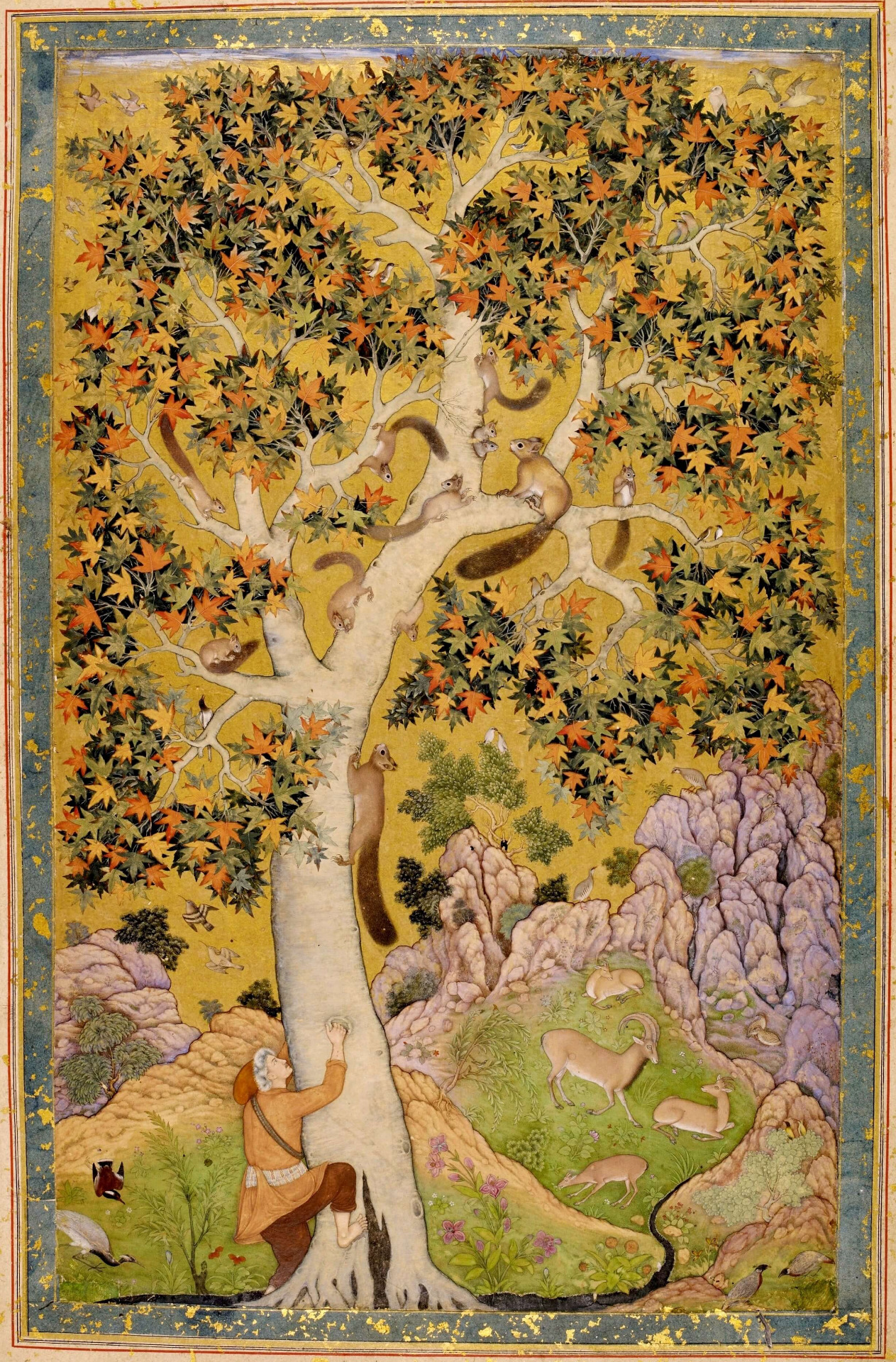 Abu'l Hasan: Veveričky na platane, miniatúra r. 1610, British Royal Collection